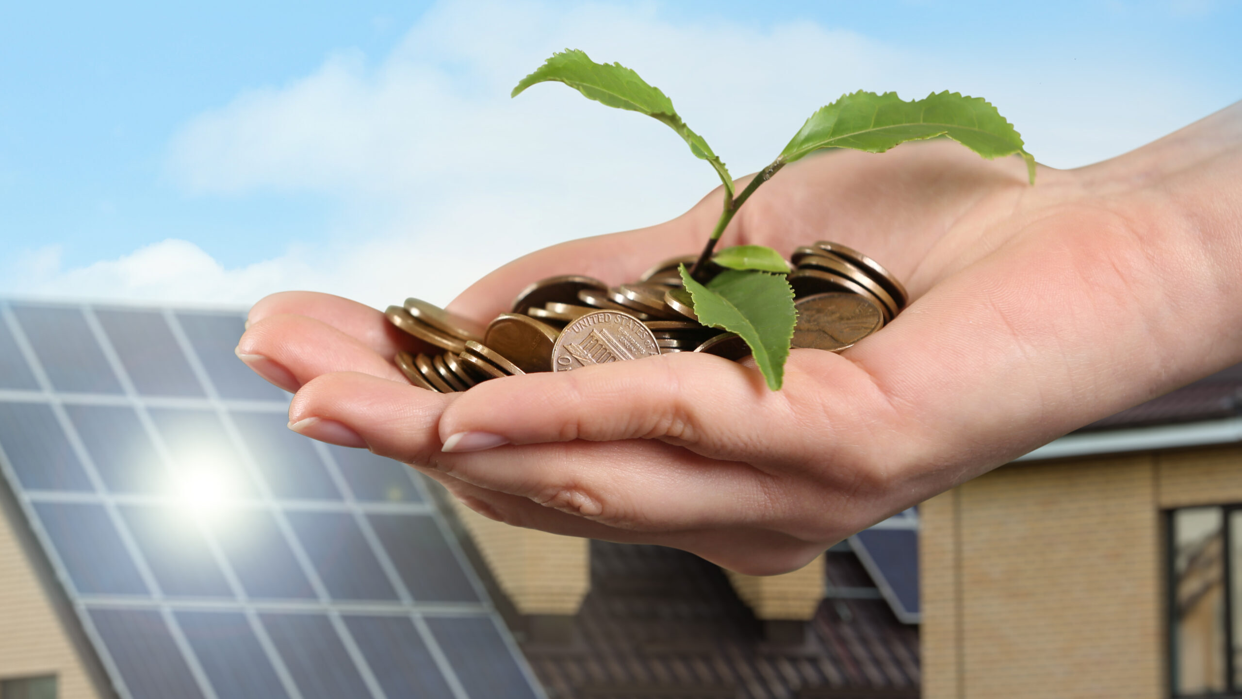 Woman holding coins and green sprout against house with installed solar panels on roof, closeup. Economic benefits of renewable energy